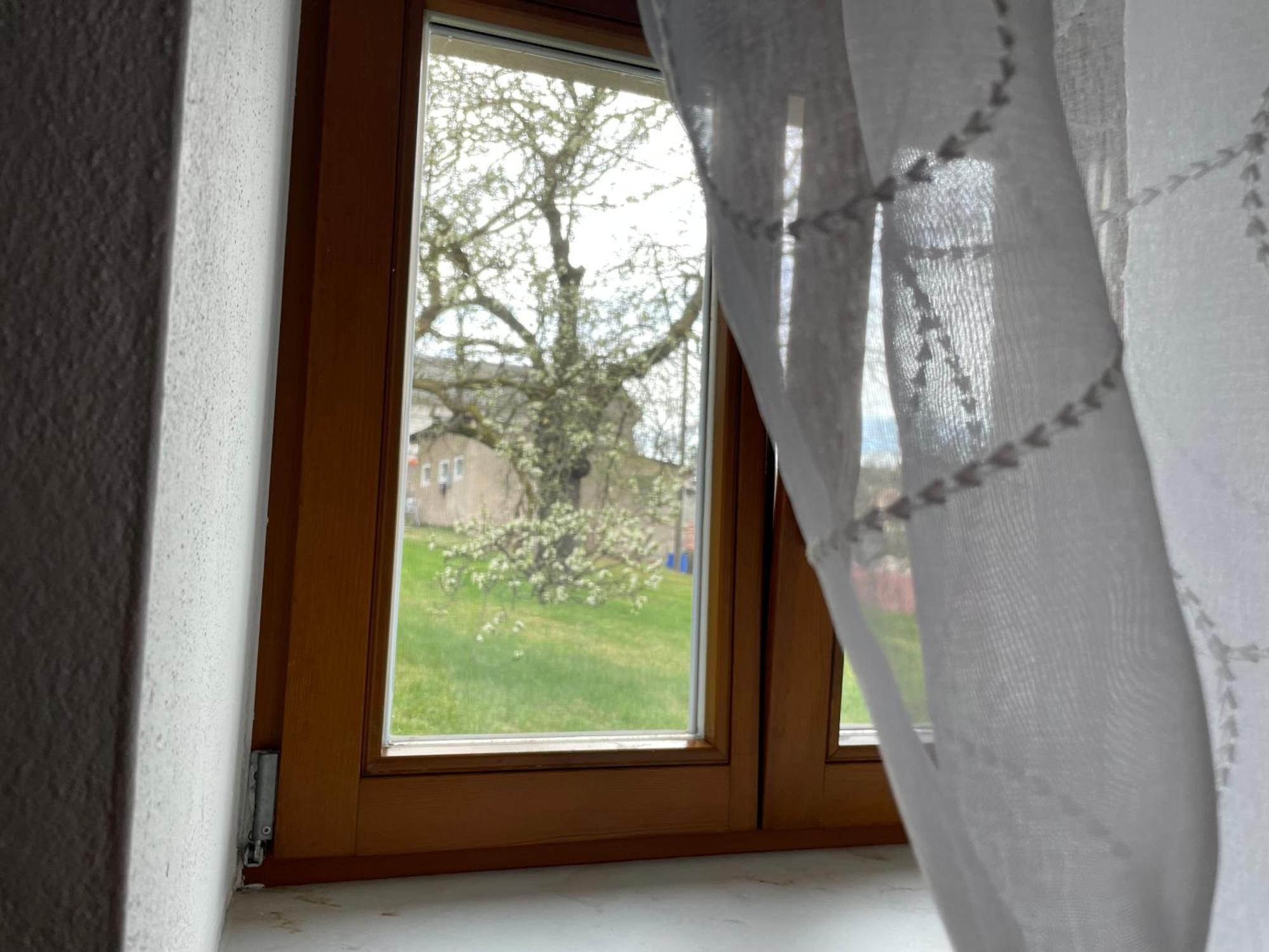 Energietanken Vor Den Toren Dresdens -barrierefrei-